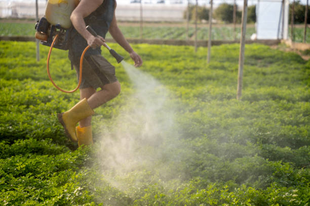 Professional Pest Control in Morrow, GA