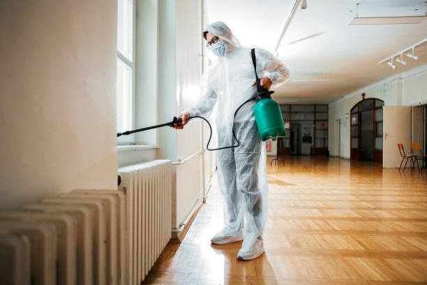 Best Pest Control Treatment  in Morrow, GA