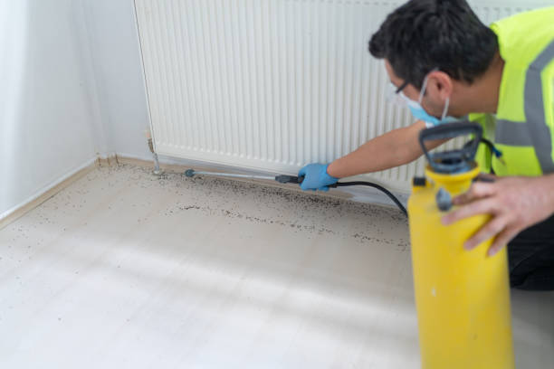 Best Bed Bug Extermination  in Morrow, GA