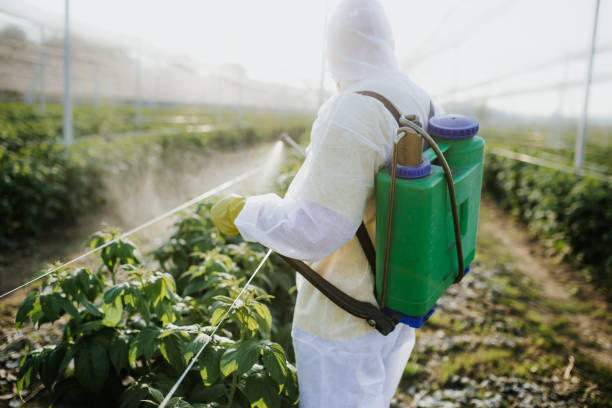 Best Pest Inspection Near Me  in Morrow, GA